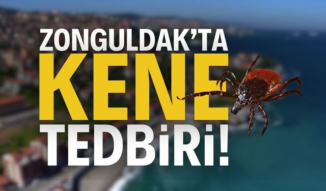 Zonguldak'ta Kene Tedbiri: YASAKLANDI! | Zonguldak haber