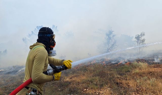 Bolu'daki Orman Yangını Kontrol Altına Alındı!