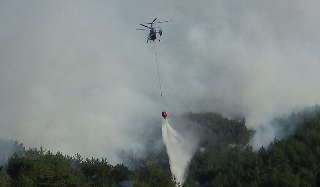 Bolu'daki orman yangınında 2 gözaltı