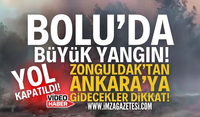 Bolu'da Orman Yangını: Mengen Yolu Kapatıldı!
