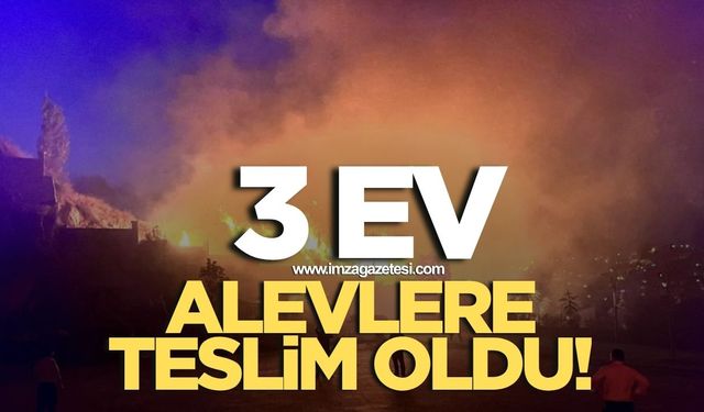Çıkan yangında 3 ev alevlere teslim oldu