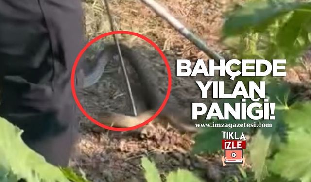 Ev Bahçesinde Yılan Paniği! İtfaiye Müdahale Etti...