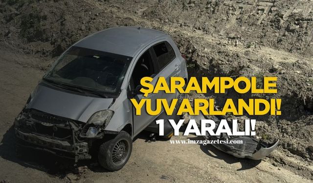Yoldan Çıkan Otomobil Şarampole Yuvarlandı! Sürücü Yaralandı!