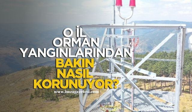 O İlin ormanları bakın nasıl korunuyor?