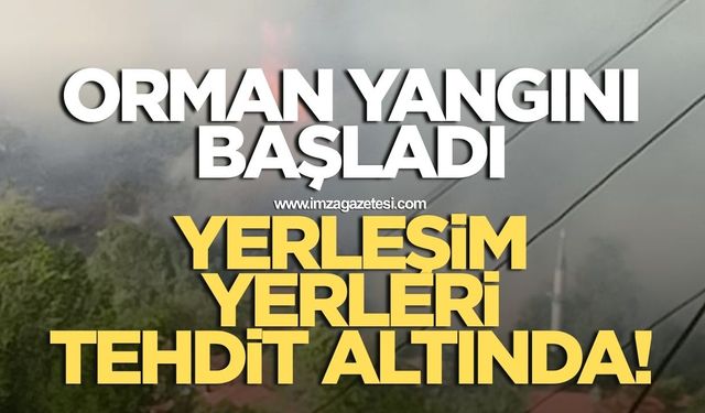 Orman yangını başladı! Yerleşim yerleri tehdit altında