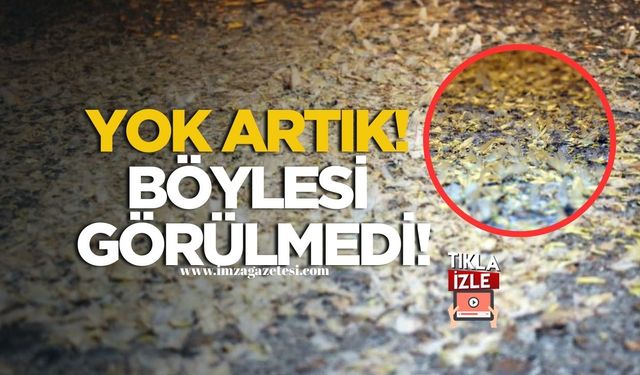‘Kar Yağışı’ Gibi Görsel Şölen!