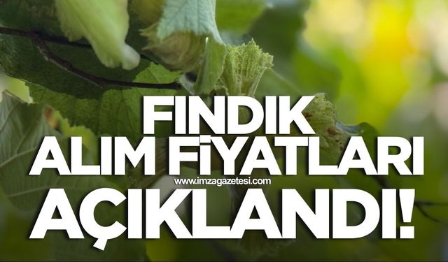 TMO fındık alım fiyatlarını açıkladı