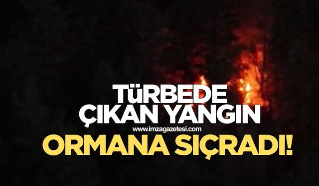 Türbede çıkan yangın ormana sıçradı