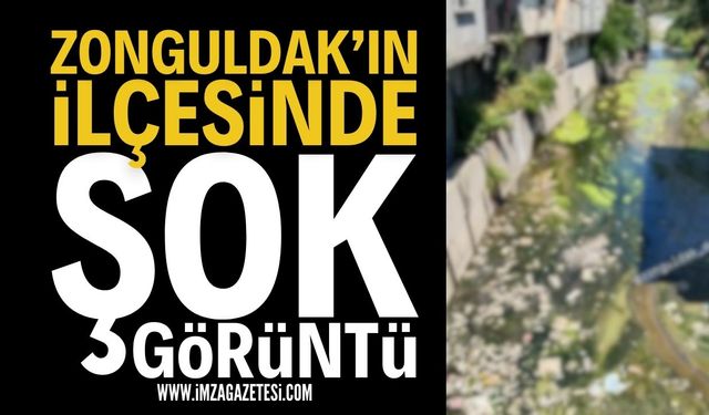 Zonguldak Alaplı'da Şok Eden Görüntü: Sağlığı Tehdit Ediyor!