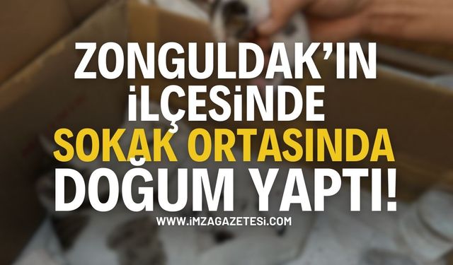 Zonguldak Alaplı'da Sokak Ortasında Doğum Yaptı!