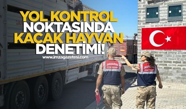 Yol Kontrol Noktasında Kaçak Hayvan Denetimi!
