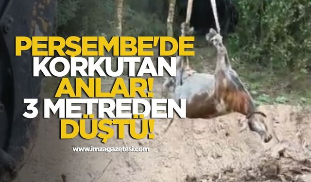 Perşembe'de Korkutan Anlar! 3 Metreden Düştü!