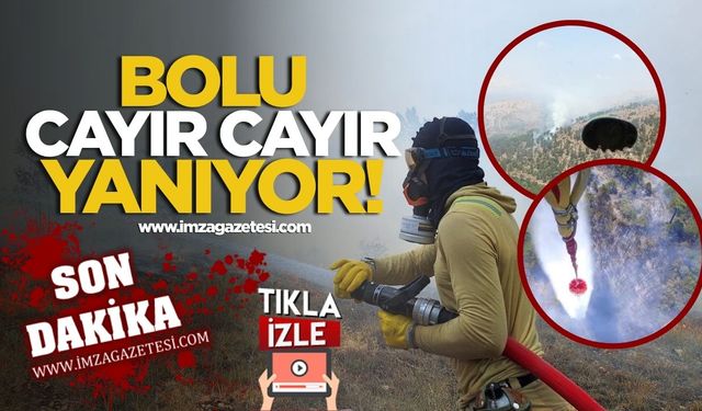 Bolu'da Orman Yangını! Alevler Havadan Ve Karadan Söndürülmeye Çalışılıyor