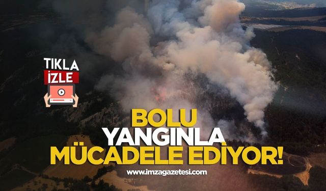 Bolu Yangınla Mücadele Ediyor!