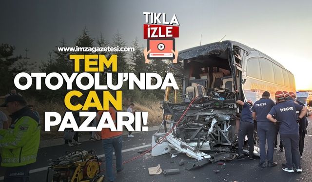 TEM Otoyolu'nda Can Pazarı!