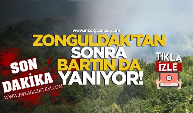 Zonguldak'tan sonra Bartın da yanıyor!