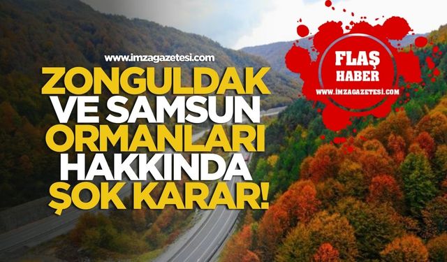 Zonguldak ve Samsun Ormanları Hakkında Şok Karar!