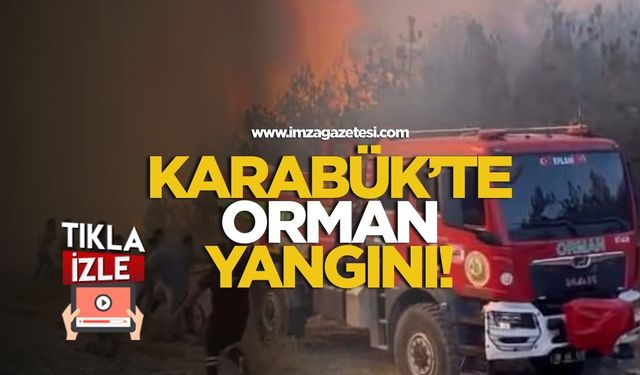 Karabük'te orman yangını!