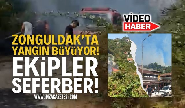 Zonguldak Kilimli'de Orman Yangını!