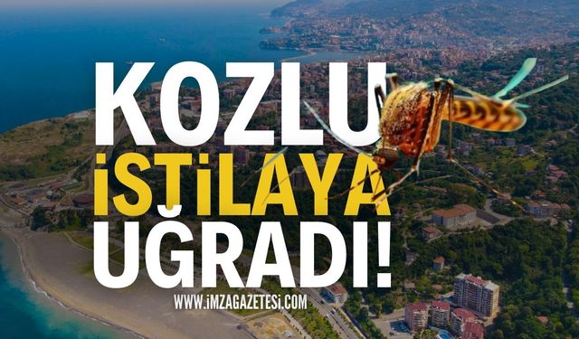 Zonguldak Kozlu İstila Altında: Herkes Şikayetçi!
