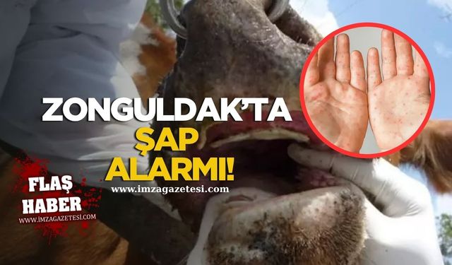 Zonguldak'ta şap alarmı! Karantina uygulaması başlatıldı...