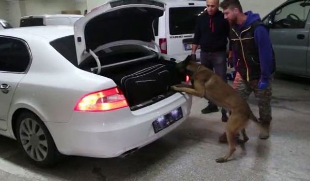 Kaçakçılık operasyonlarında 6 gözaltı