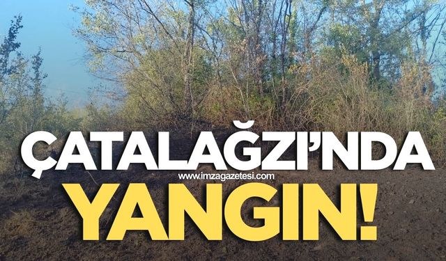 Çatalağzı'nda orman yangını