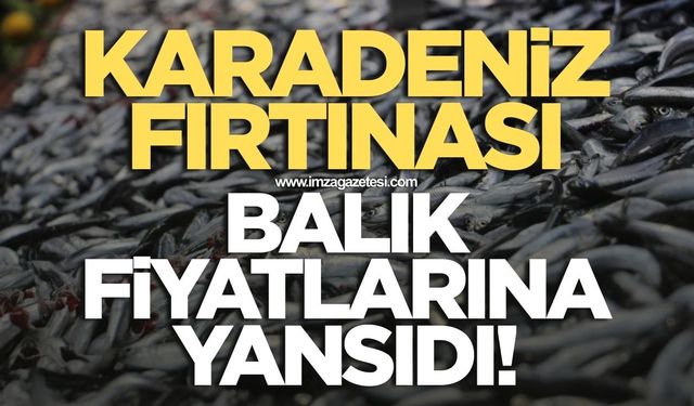 Karadeniz fırtınası balık fiyatlarını artırdı