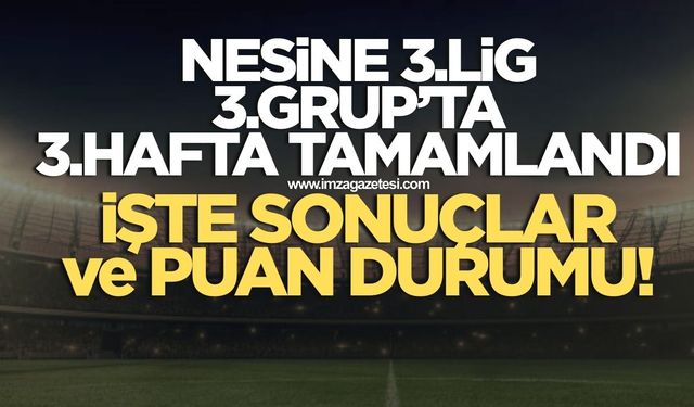 Nesine 3.Lig 3.Grup'ta 3.Hafta müsabakaları tamamlandı! İşte sonuçlar ve puan durumu
