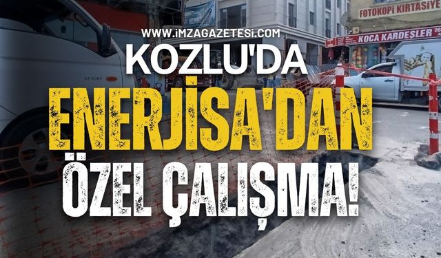 Kozlu'da EnerjiSa'dan özel çalışma!
