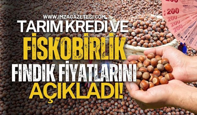 Tarım Kredi ve FİSKOBİRLİK Fındık Fiyatlarını Açıkladı!