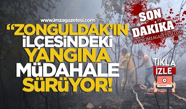 Zonguldak'ın ilçesindeki orman yangınına müdahale sürüyor!