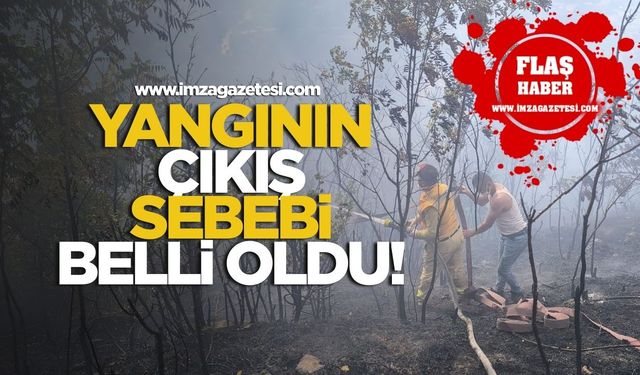 Zonguldak orman yangınının çıkış sebebi belli oldu!