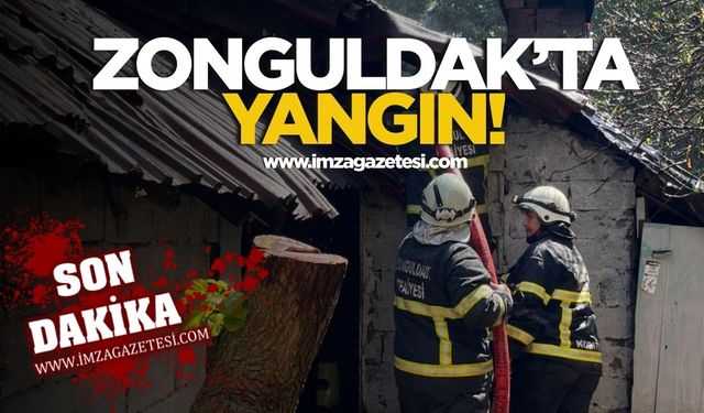 Zonguldak'ta yangın! Baraka tutuştu...