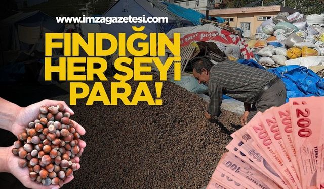 Fındığın Her Şeyi Para!