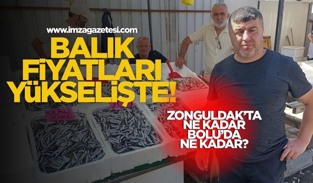 Zonguldak'ta balık fiyatları yükselişte! Zonguldak'ta hamsi ve mezgit ne kadar? Bolu'da ne kadar?
