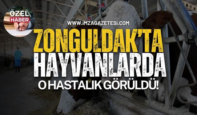 Zonguldak’taki o hayvanlarda hastalık görüldü!