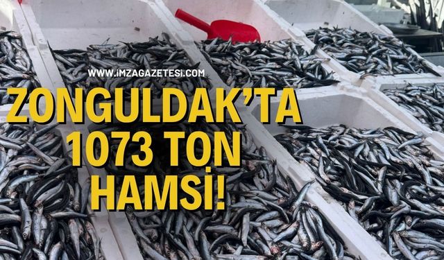 Zonguldak’ta 1073 Ton Hamsi!