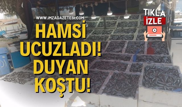Hamsi Ucuzladı! Duyan Koştu!