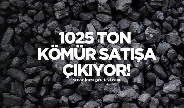 1025 Ton Kömür Açık Artırmada!