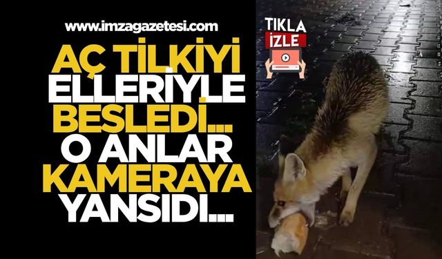 Aç Tilkiyi Elleriyle Besledi... O Anlar Kameraya Yansıdı...