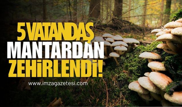 5 Vatandaş Mantardan Zehirlendi!