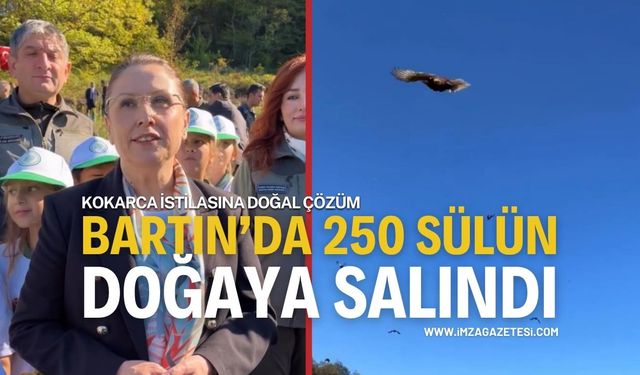 Kokarca İstilasına Doğal Çözüm: Bartın'da 250 Sülün Doğaya Salındı