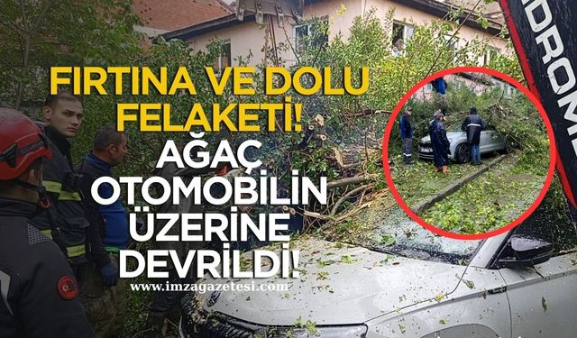 Çaycuma’da Fırtına ve Dolu Felaketi...Ağaç Otomobilin Üzerine Devrildi!