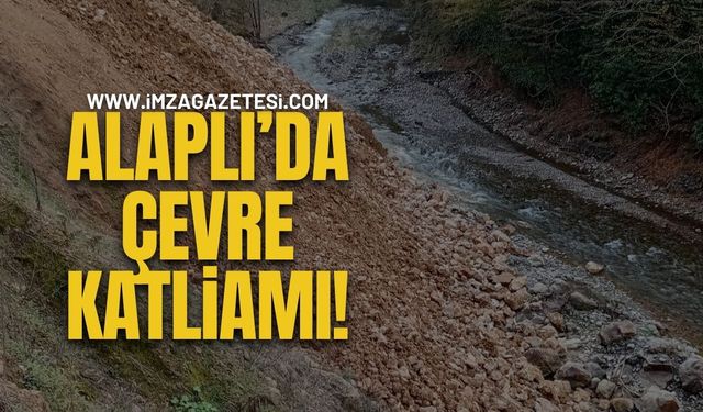Alaplı'da Çevre Katliamı!