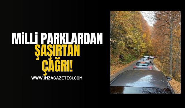 Yedigöller Kilitlendi! Milli Parklar’dan Şaşırtan Çağrı!