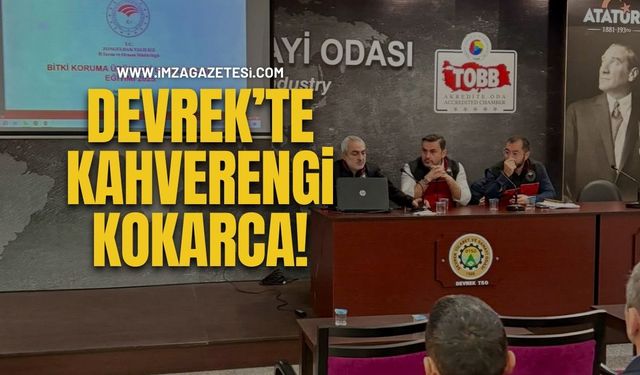 Devrek’te Kahverengi Kokarca…!