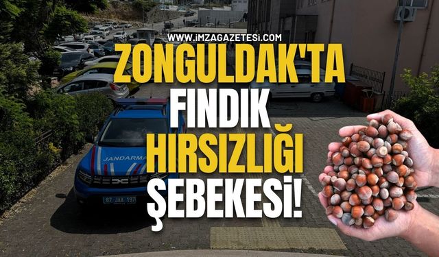 Zonguldak'ta Fındık Hırsızlığı Şebekesi!
