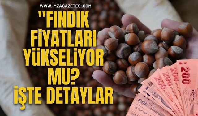 Fındık Fiyatları Yükseliyor Mu? İşte Detaylar...