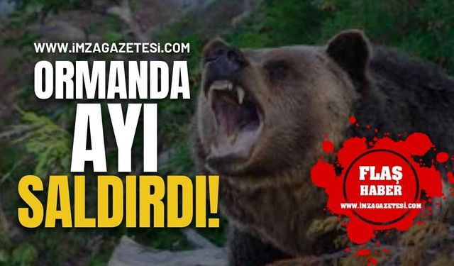 Ormanda Ayı Saldırısına Uğradı!